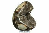 Septarian Dragon Egg Geode - Sparkly Black Crystals #308820-1